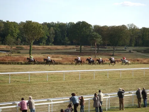 Hippisme : nos préférés pour ce samedi 30 octobre